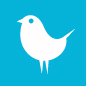 birdie's avatar