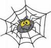 The Spider