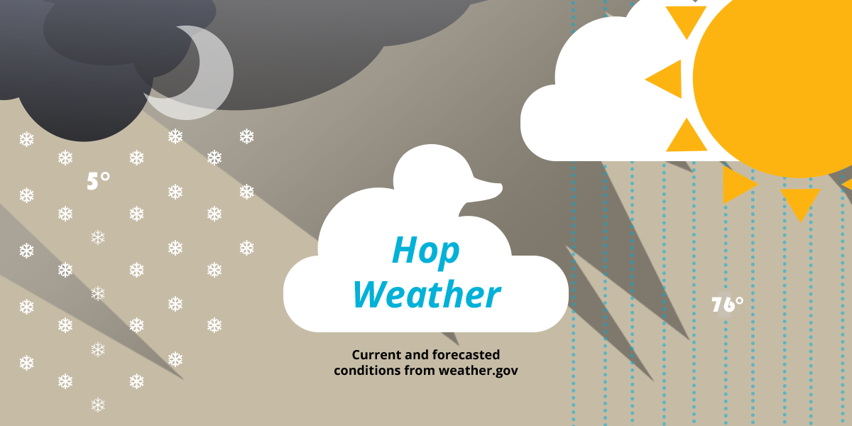 Graphic illustration of rain, snow, sun, moon, and clouds