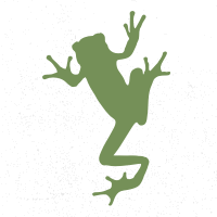 Amphibian's Logo'